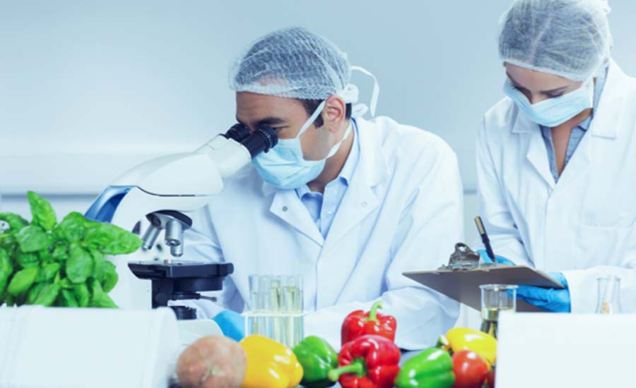 Calzature-di-sicurezza-per-lindustria-alimentare-Safetyshoestoday